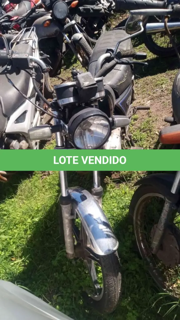 LOTE 0162