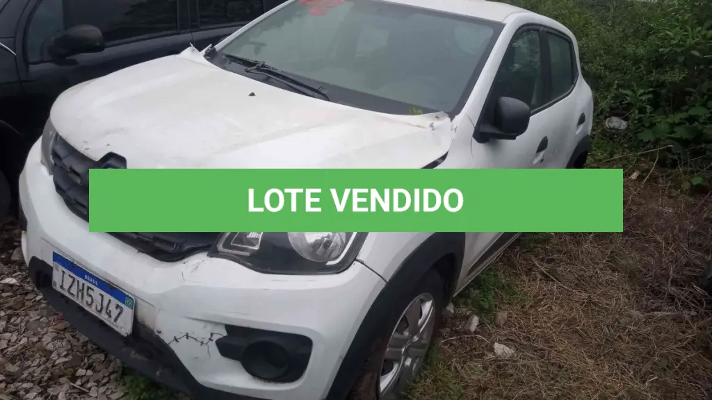 LOTE 0173