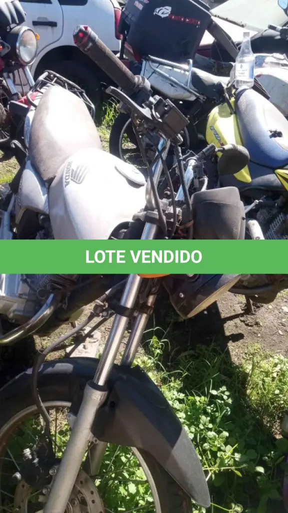 LOTE 0155