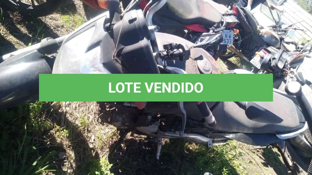 LOTE 0152