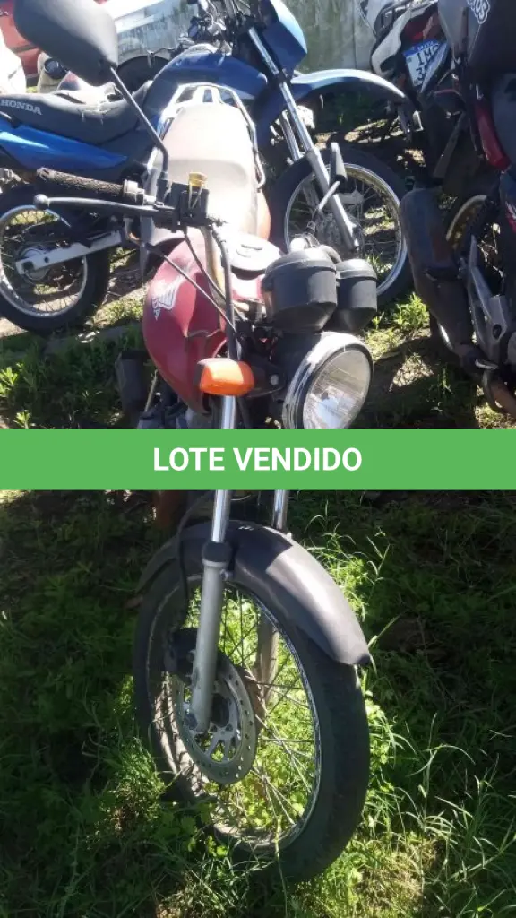 LOTE 0164