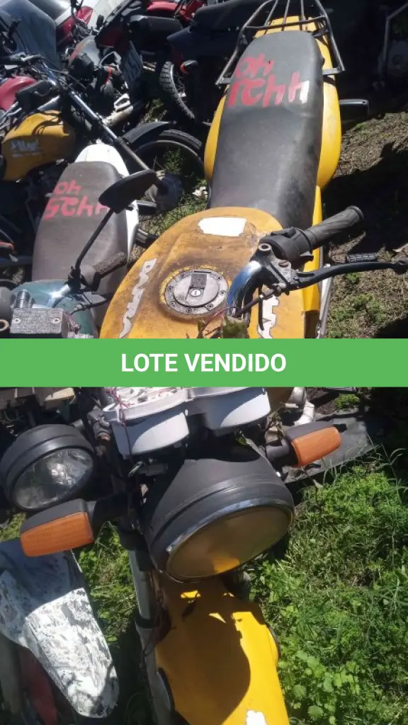 LOTE 0169