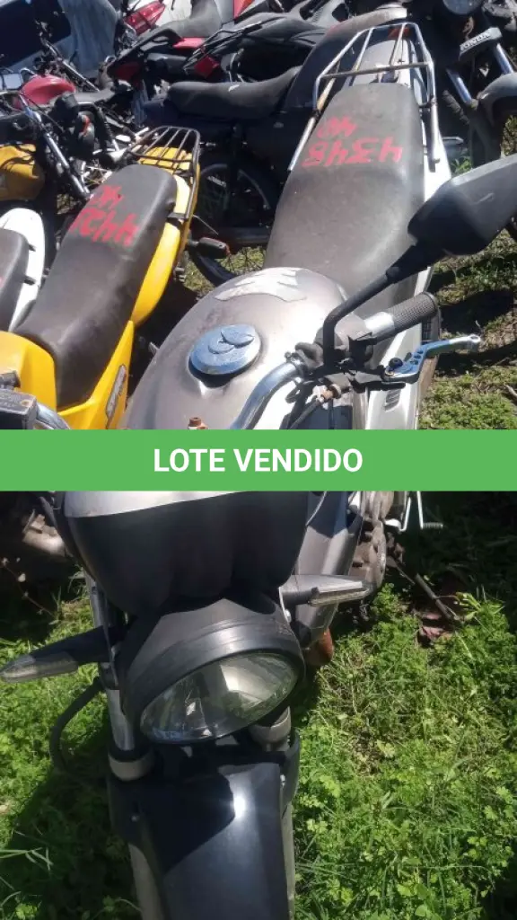 LOTE 0161