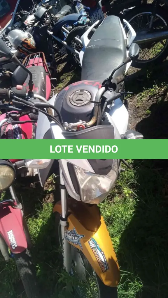 LOTE 0153