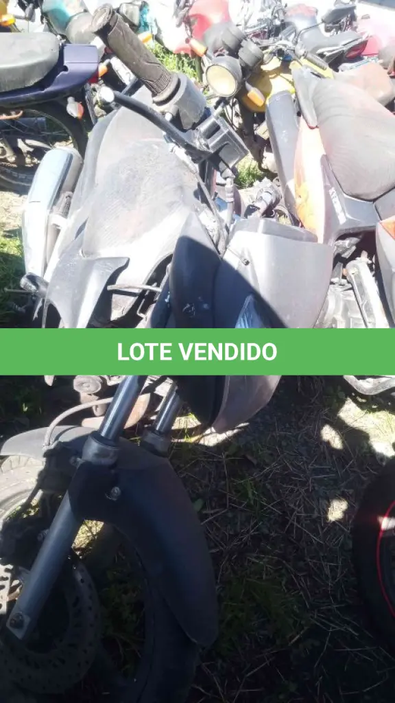 LOTE 0159