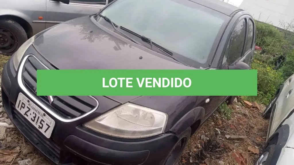 LOTE 0177