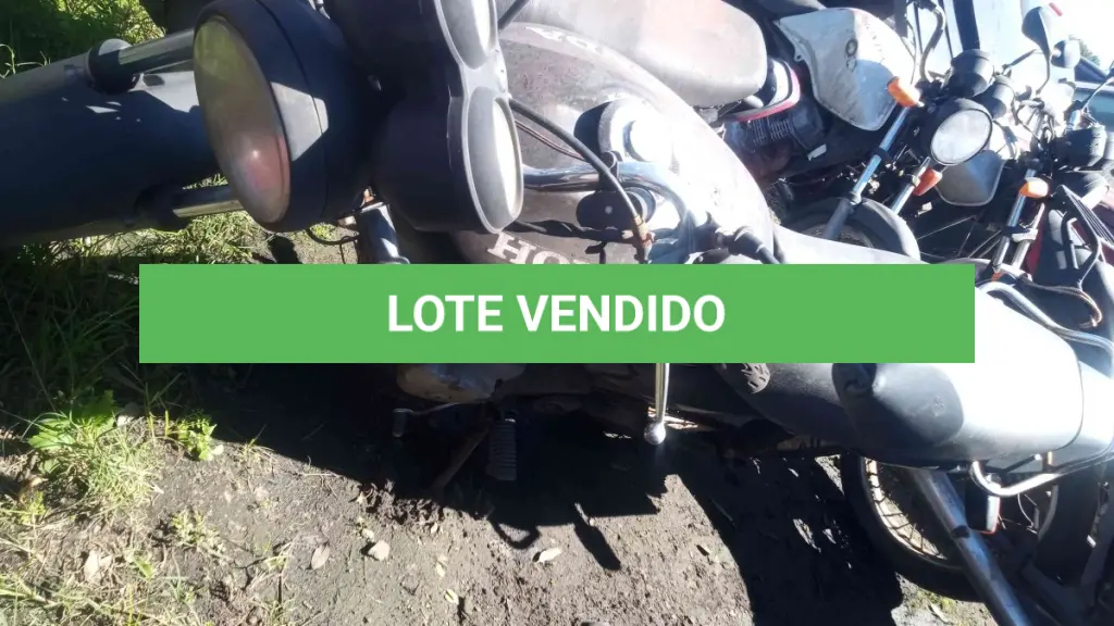 LOTE 0160