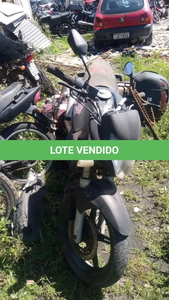 LOTE 0165