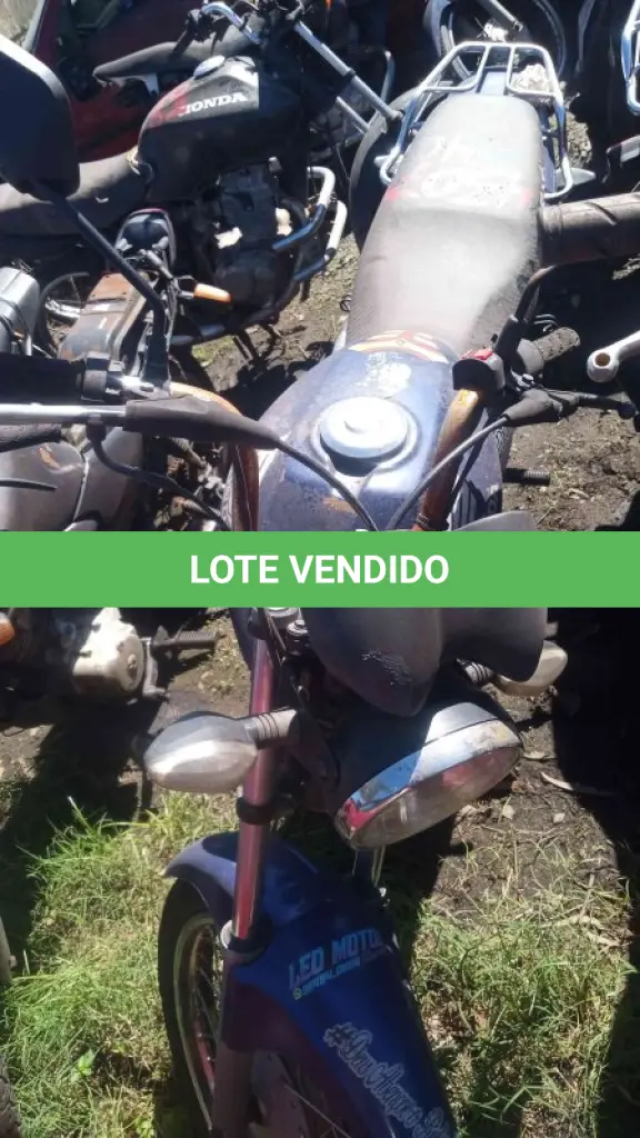 LOTE 0154