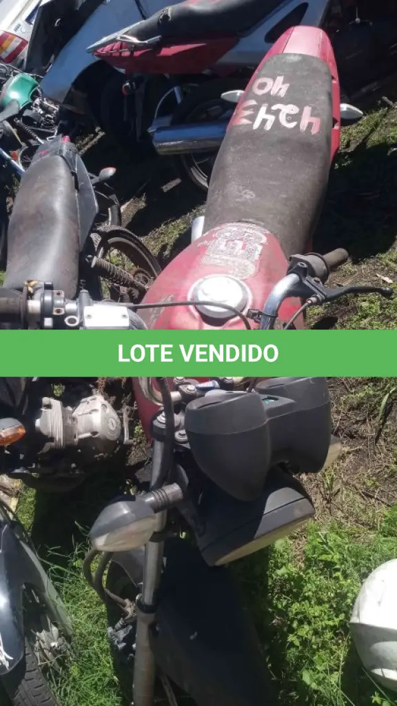 LOTE 0149