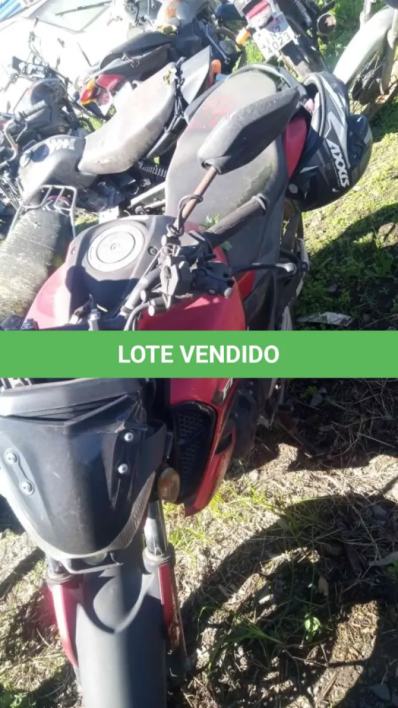 LOTE 0147