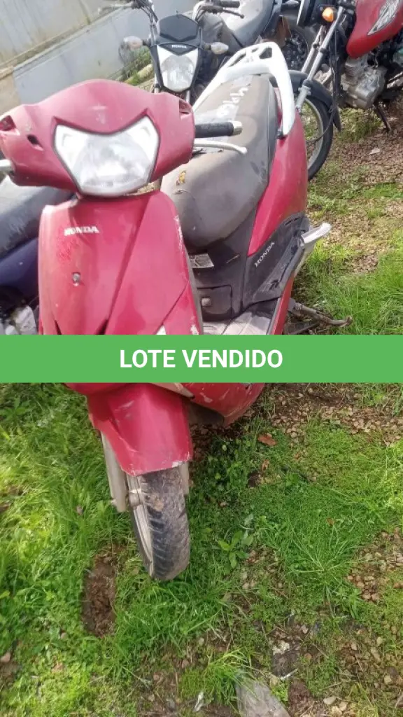 LOTE 0195