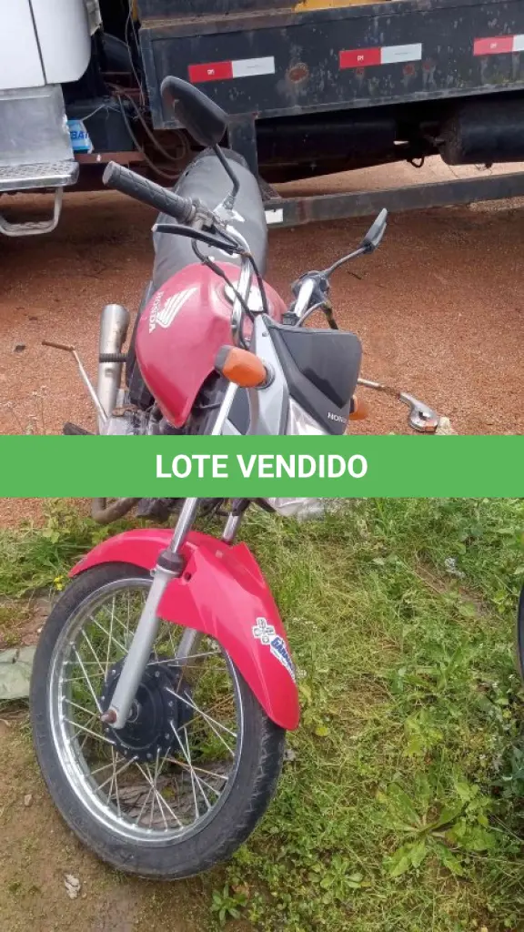 LOTE 0203