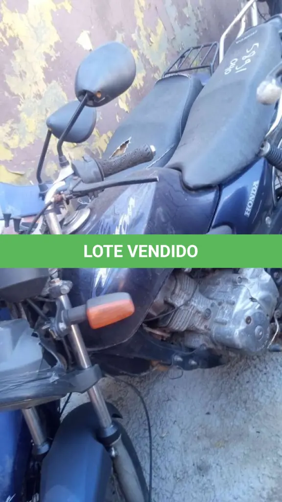 LOTE 0239