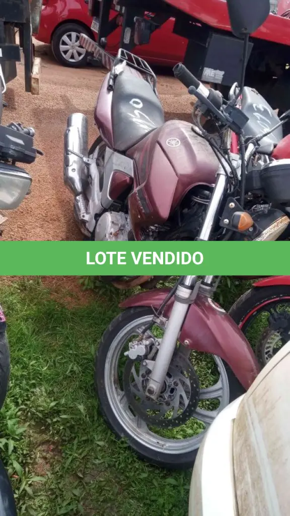 LOTE 0193