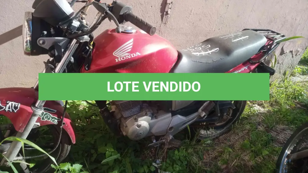 LOTE 0233