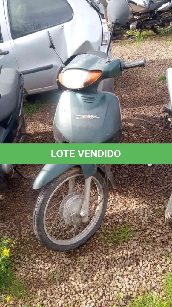 LOTE 0198
