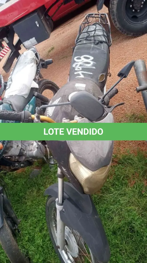 LOTE 0202