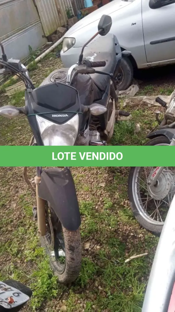 LOTE 0194