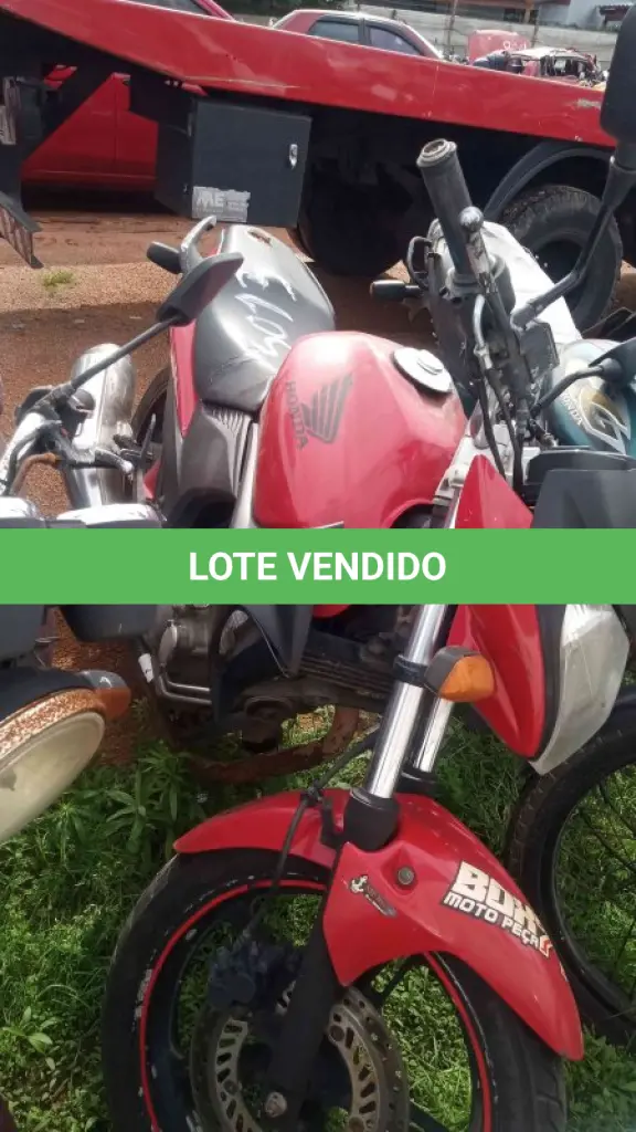 LOTE 0205