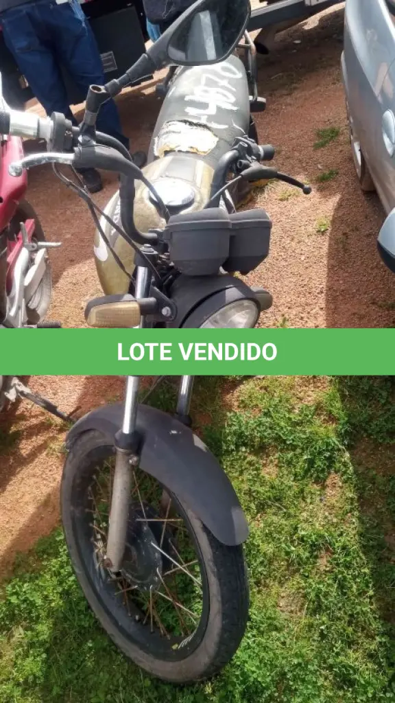 LOTE 0199