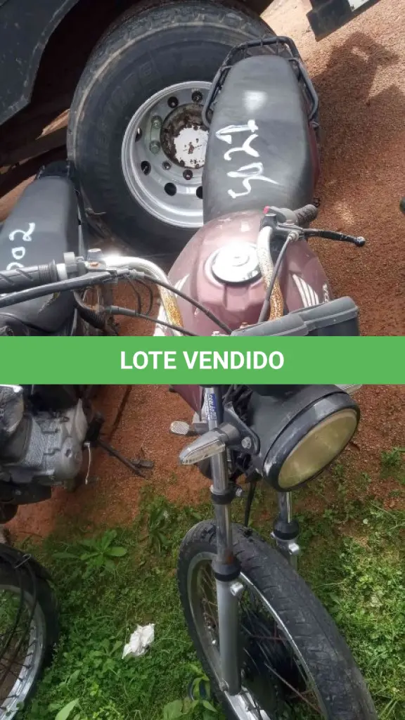 LOTE 0208