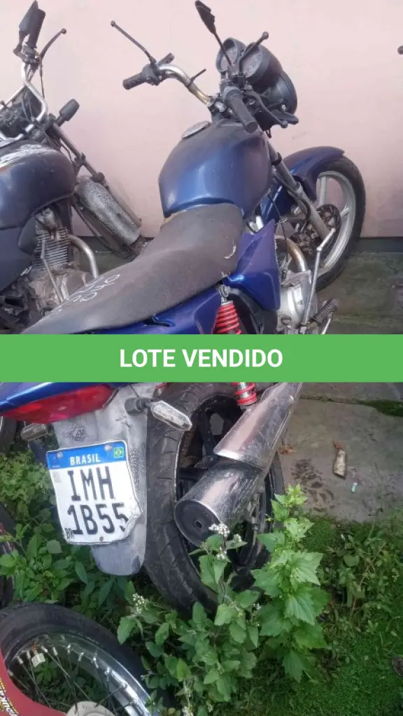 LOTE 0243