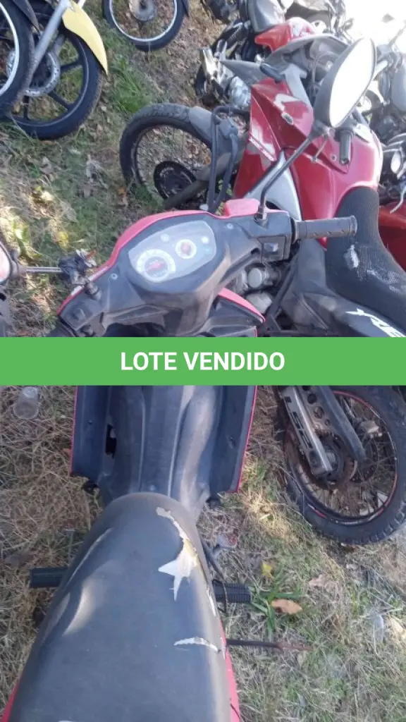 LOTE 0329