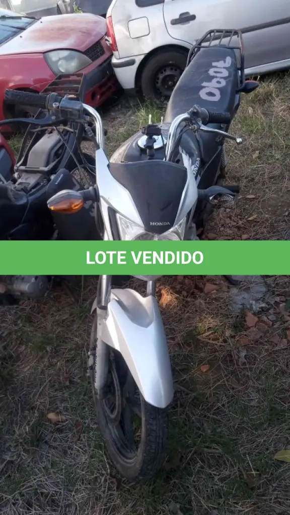 LOTE 0313