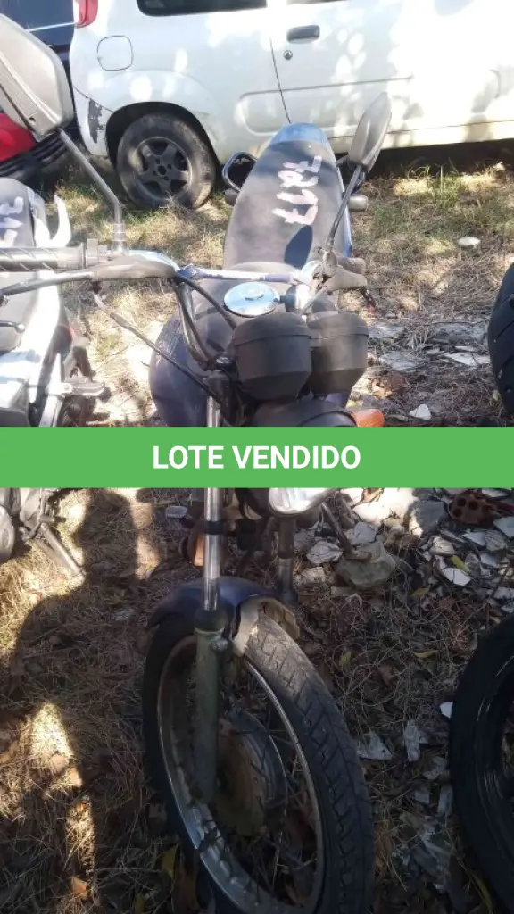LOTE 0330