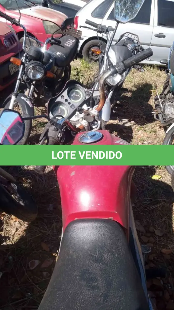 LOTE 0318