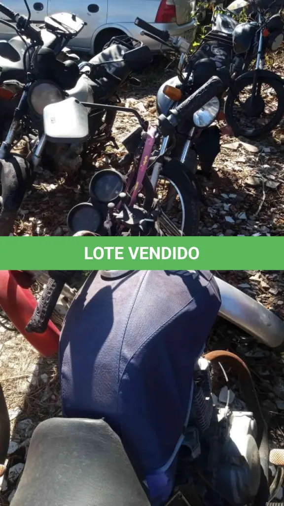 LOTE 0308