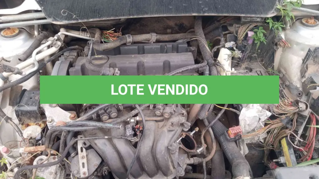LOTE 0297
