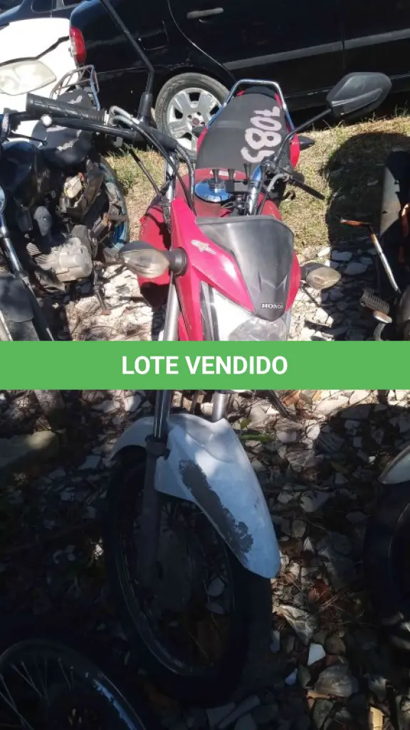 LOTE 0312