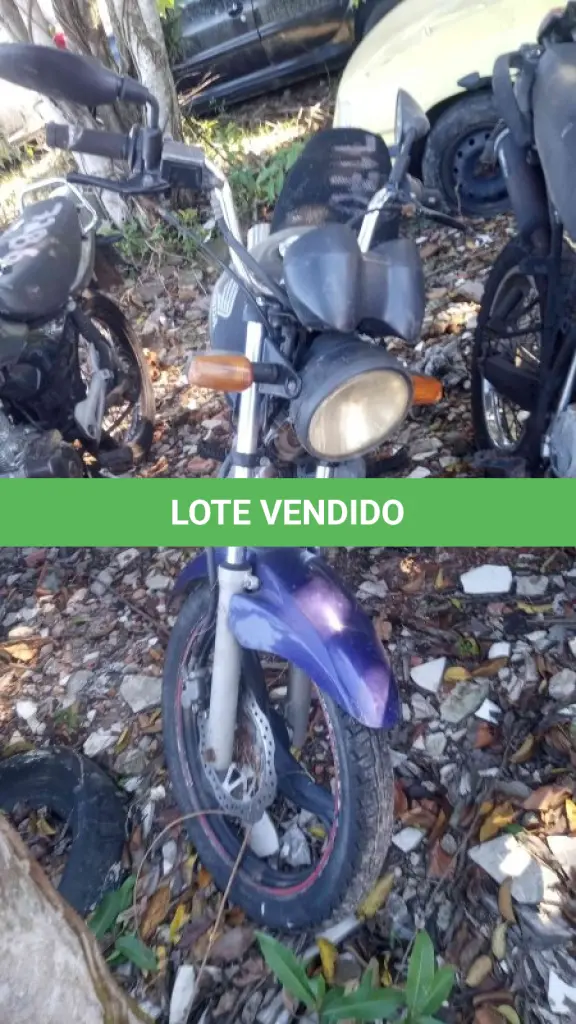 LOTE 0323