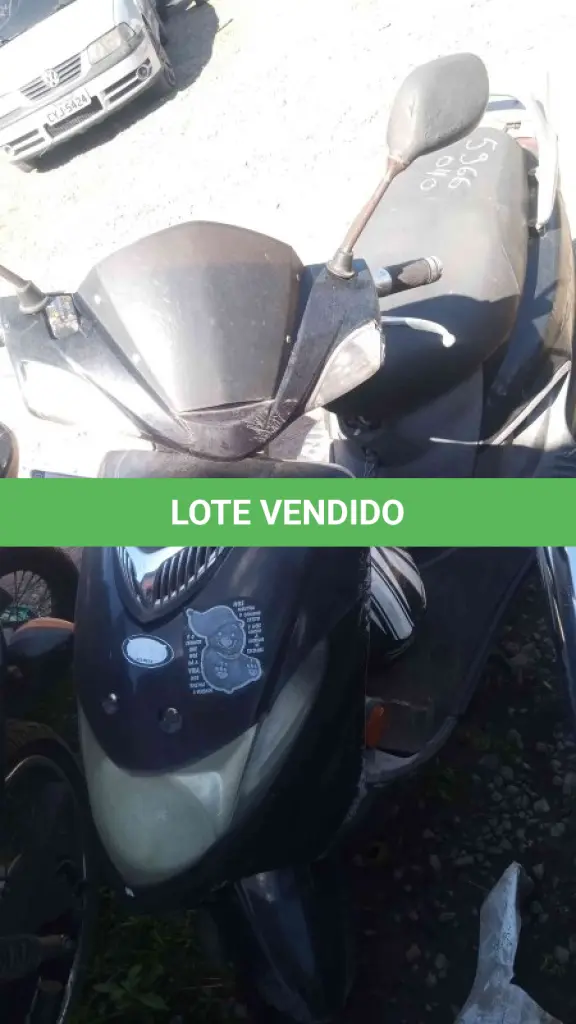 LOTE 0249