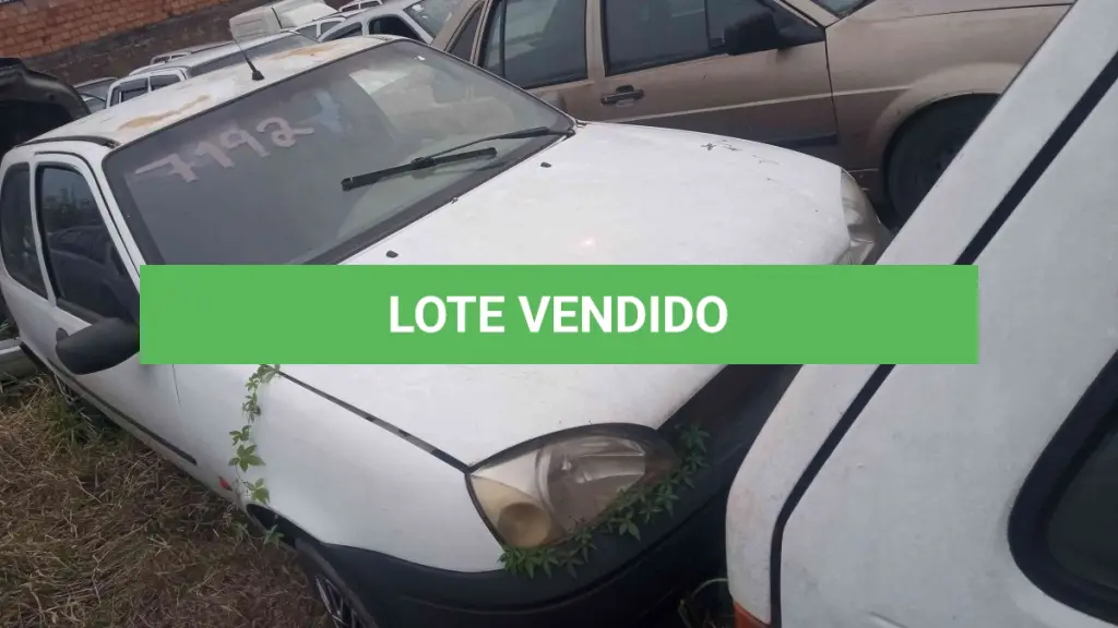 LOTE 0295