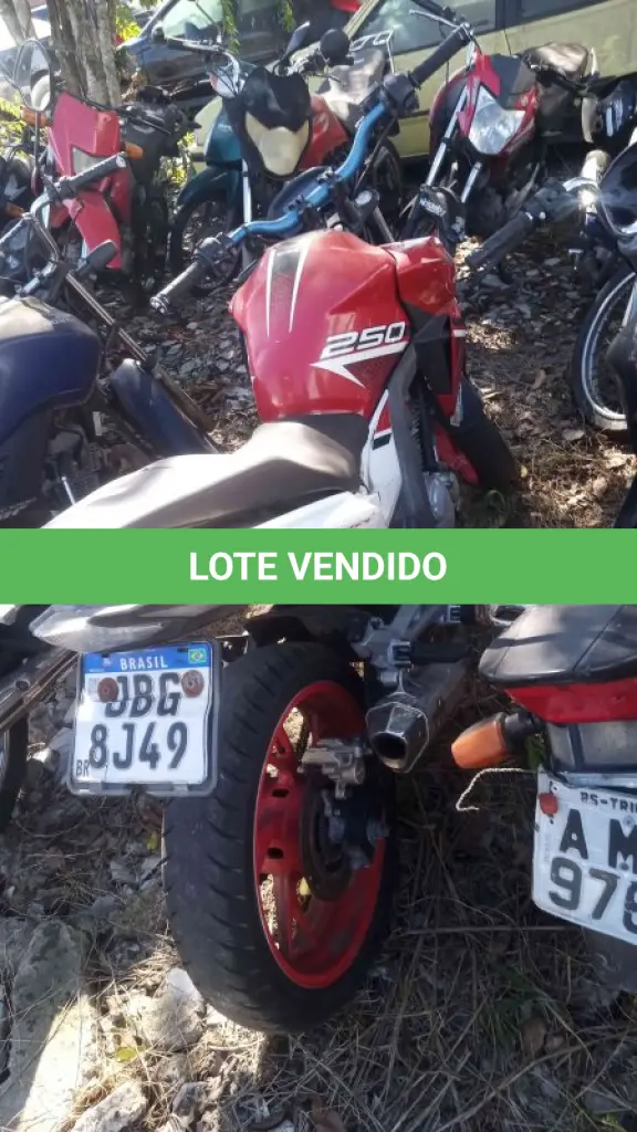 LOTE 0324