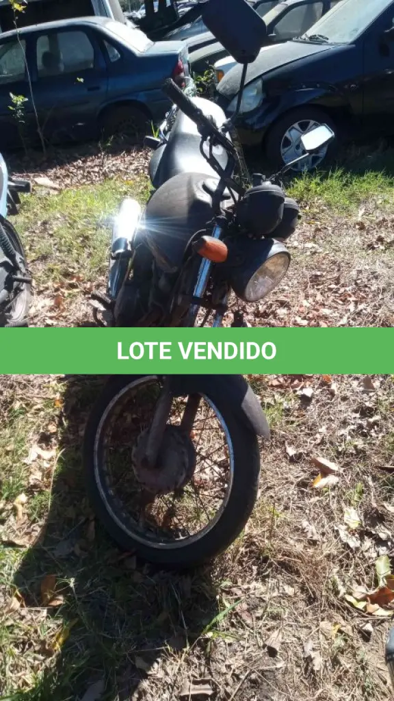 LOTE 0317