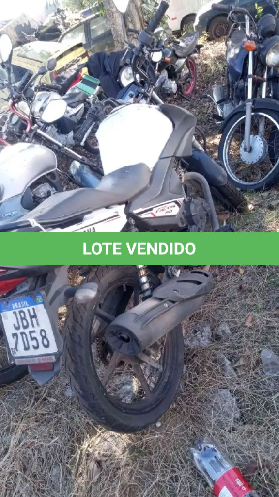 LOTE 0320