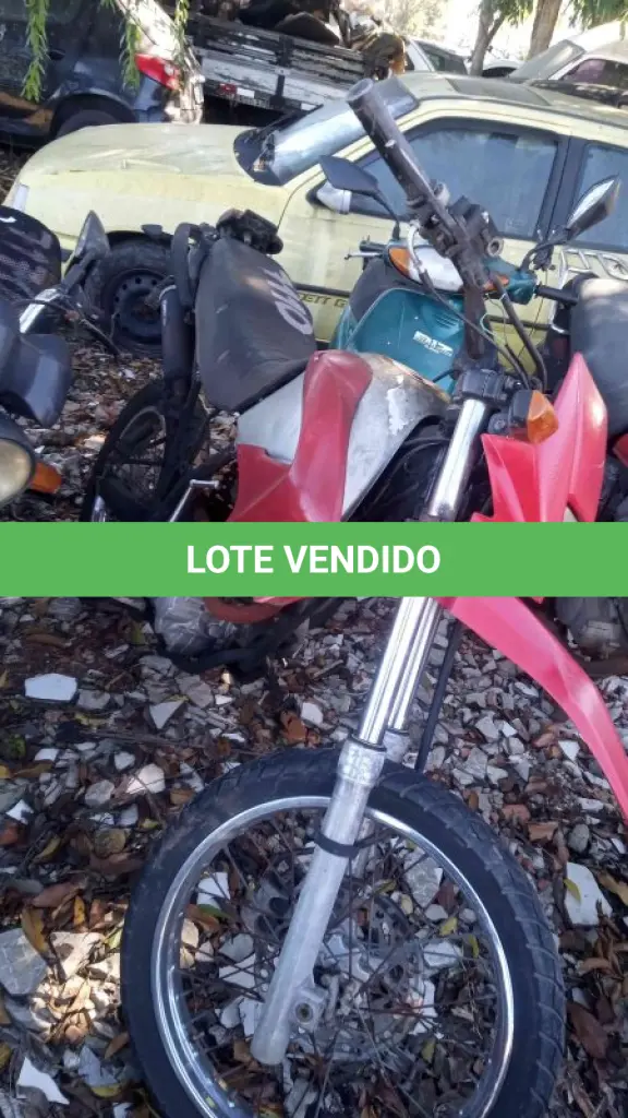 LOTE 0316