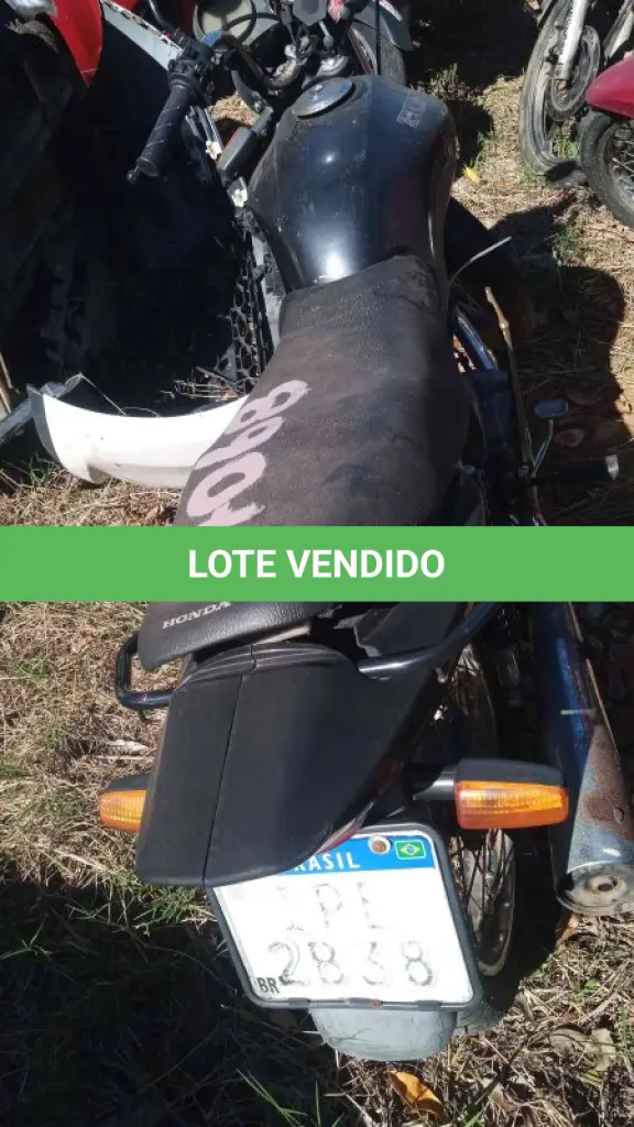 LOTE 0309
