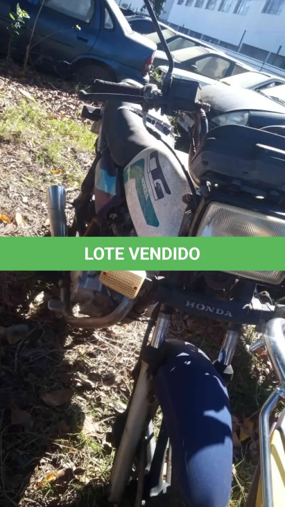 LOTE 0314