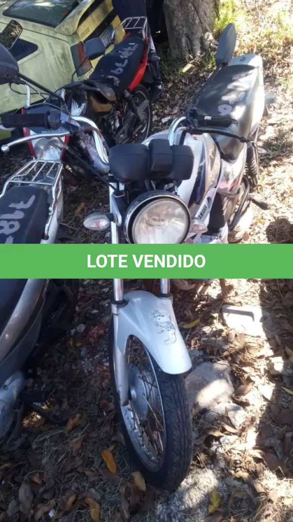 LOTE 0310