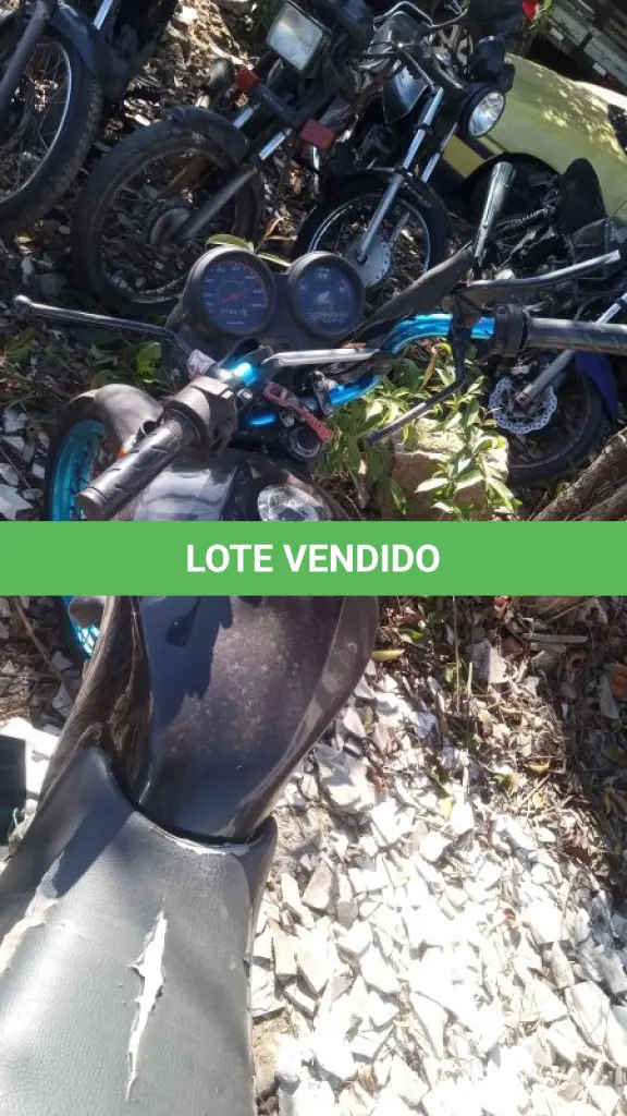 LOTE 0315