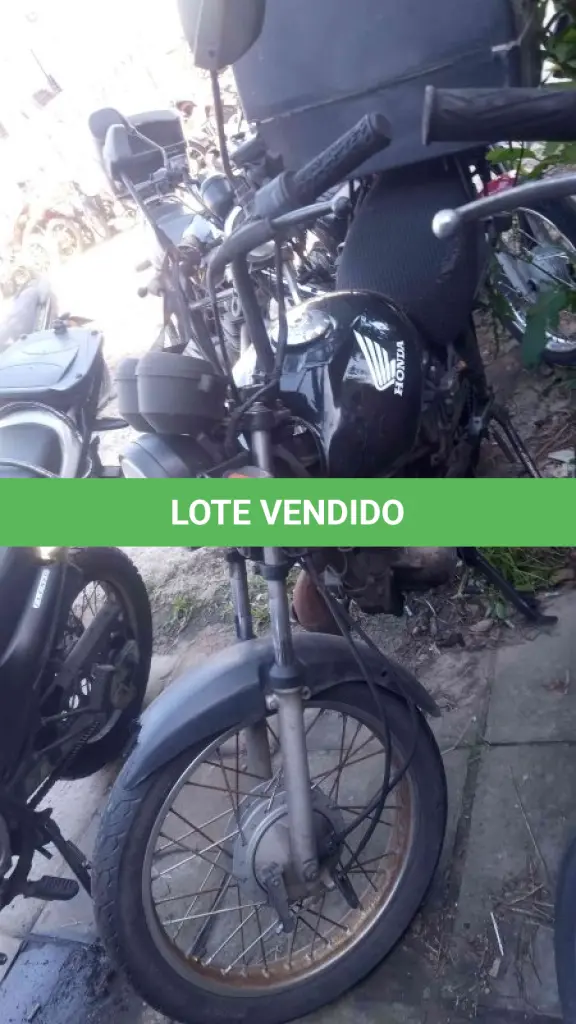 LOTE 0267