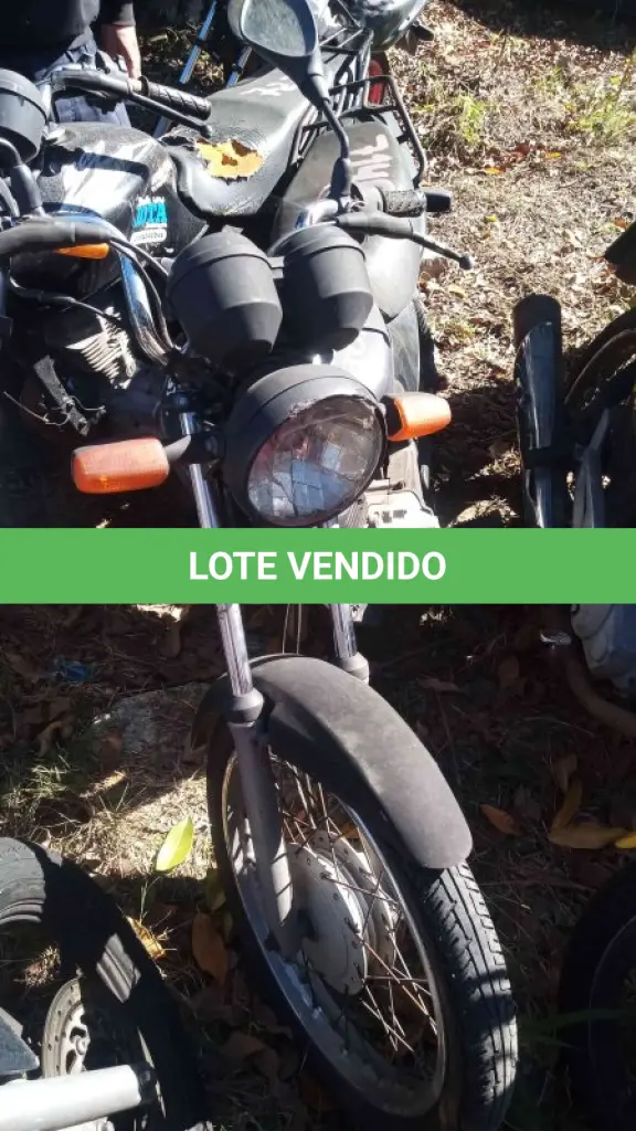 LOTE 0319