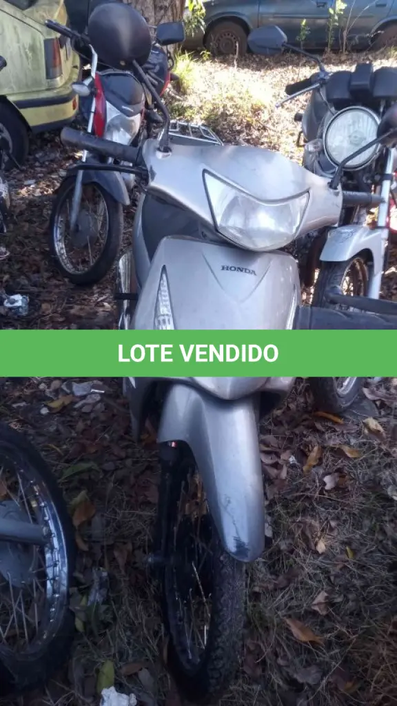 LOTE 0326
