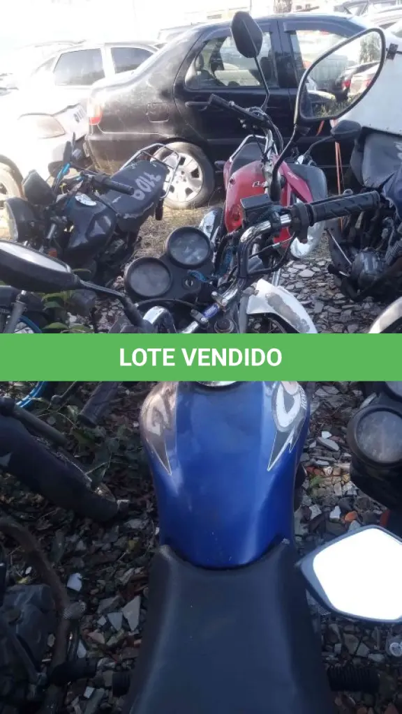 LOTE 0328