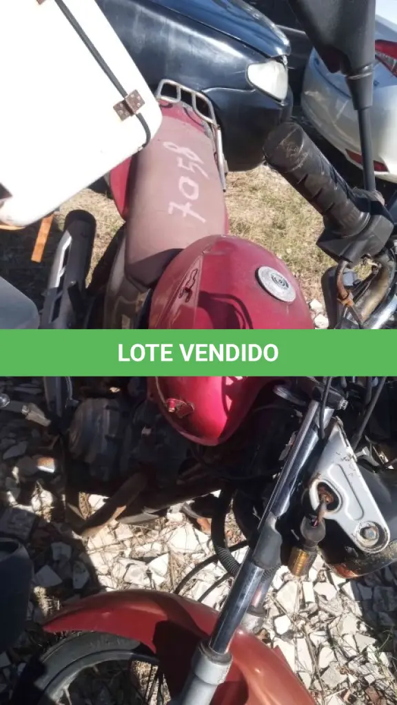 LOTE 0307